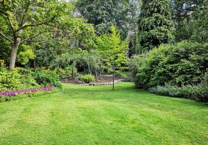 Optimiser l'expérience du jardin à Pailherols